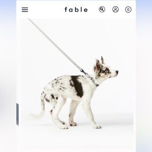 Fable pets leather leash grey NEW